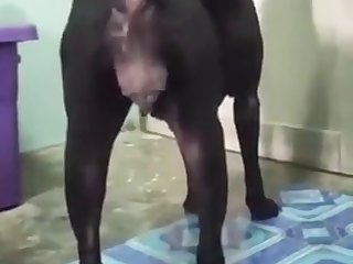 Rica Vulva De Mi Perra Para Zoo Parte 2
