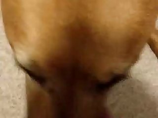 Dick Licks