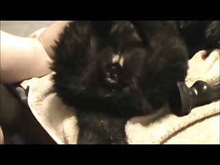 Fingerlickingood.wmv