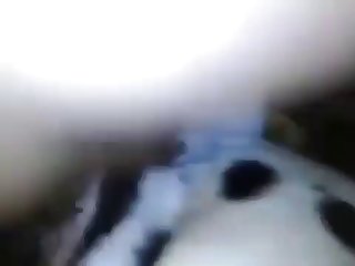 Fucking A Dalmatian And Husky