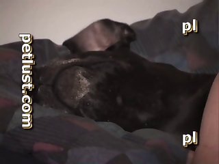 Doing The Dane Pb203 Petlust