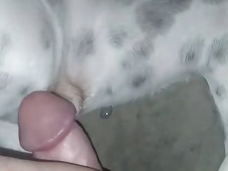 Creampie On Lily's Pussy