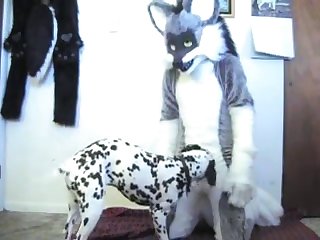 Ahote Wolf Bangs Bitch