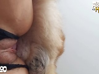Yaoi Bestiality Porn