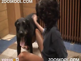 Human And Animal Porn