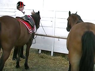 Cow Zoophilia Porn