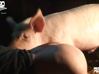 Best Zoophilia Porn Sites