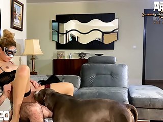 Sex Animal Site