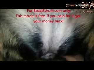 Animal Sex Com