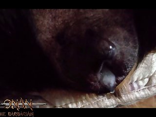 Sex Animal Chien